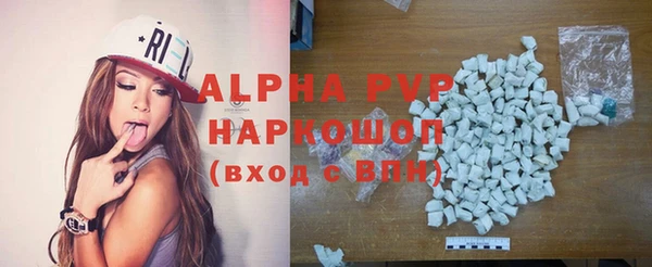 прущие грибы Зеленодольск