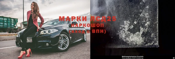 СК Зеленокумск