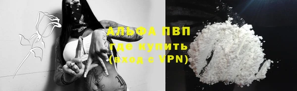СК Зеленокумск