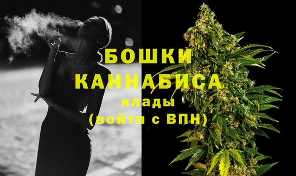 СК Зеленокумск