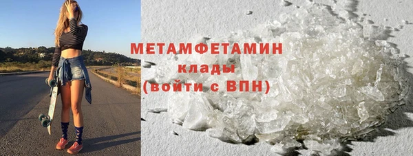 прущие грибы Зеленодольск