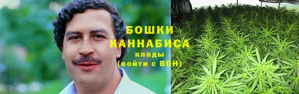 прущие грибы Зеленодольск