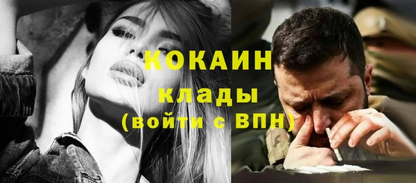 прущие грибы Зеленодольск